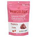 Grain Free Strawberry Granola
