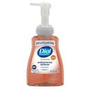 Antibacterial Defense Foaming Hand Wash with Original Aloe Scent