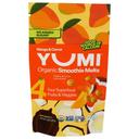 Organic Mango and Carrot Smoothie Melts