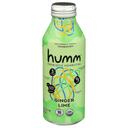 Organic Ginger Lime Kombucha