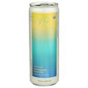 Pineapple Coconut Organic Seltzer