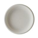 Potter's Collection 6.5 x 1.5 inch Shell Porcelain Deep Tray, 24 count