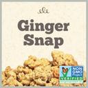 Ginger Snap