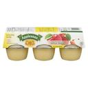 Applesnax Organic Apple Unsweetened Snack