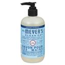 Rain Water Hand Soap