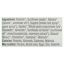 Organic Apple Snack Balls