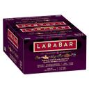 Double Chocolate Truffle Fruit and Nut Energy Bar