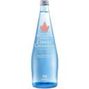 Grapefruit Essence Sparkling Mineral Water