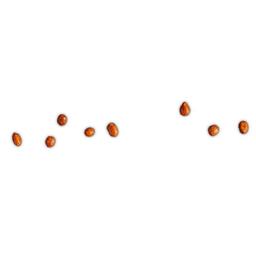 Product thumb gallery 937040548