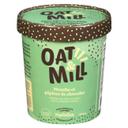 Mint Chocolate Chip Ice Cream