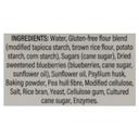 Gluten Free Blueberry Bagel