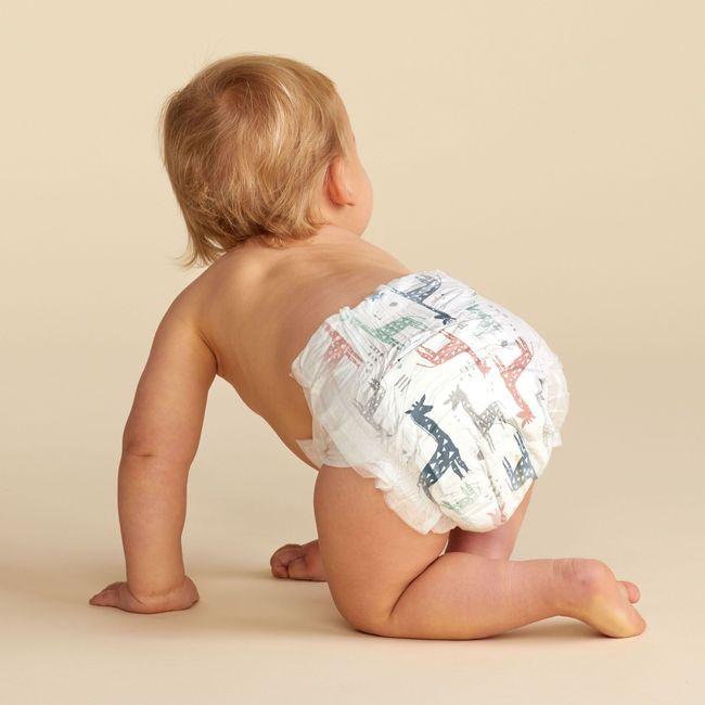 Product gallery 553620582