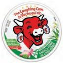 400 g Garlic and Herbs Spreadable Cheese Wedge