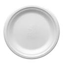 Natural White Molded Fiber Round Plate