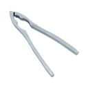 Stainless Steel Lobster Crack