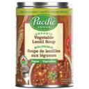 Organic Vegetable Lentil Soup