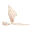 4 oz Individually Quick Frozen Sole Fillets