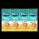 Tropical Fruit Exotic Juice Drink