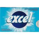 Peppermint Sugar Free Gum