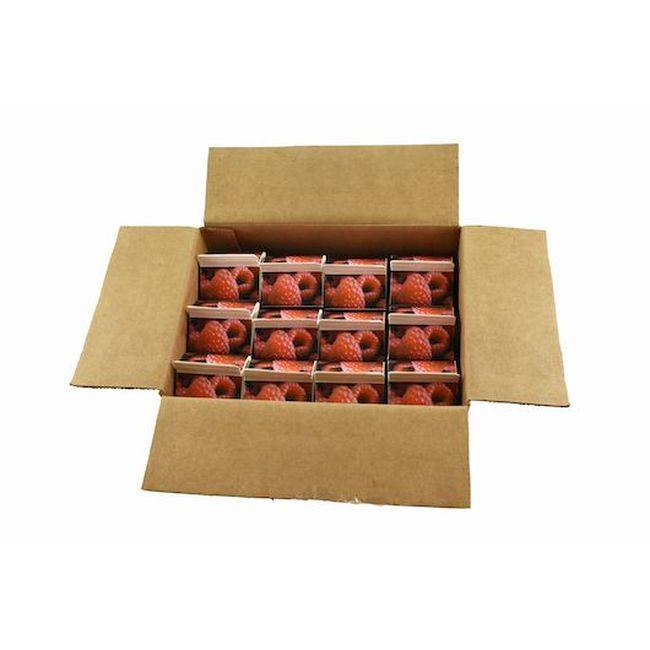 Product gallery 616246356