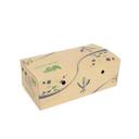 Kraft Medium Snack Box