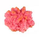 Raspberry Coconut Macaroons