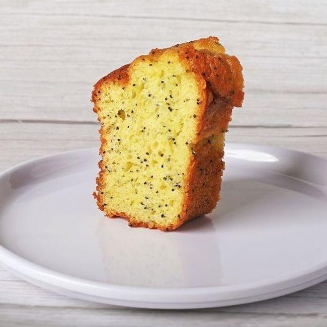 Product gallery 462922079