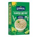 Cilantro Lime Rice