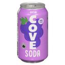 Grape Probiotic Soda for Gut Health