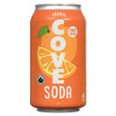 Orange Probiotic Soda for Gut Health