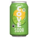 Lemon Lime Probiotic Soda for Gut Health