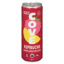 Raspberry Lemonade Kombucha