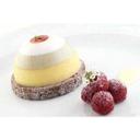 Siliconflex Alimentary Silicone 6 Cavities Dome Mold