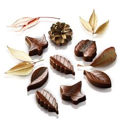 Product thumb gallery 330334688