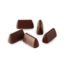 Siliconflex Alimentary Silicone 24 Cavities Chocogianduia Mold