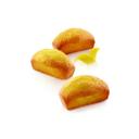 Black Silicone 36 Cavities Financier Mold