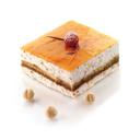 Tortaflex TOR 100 40 1 Mold