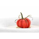 Naturae Pomodoro 12 Cavities Silicone Mold