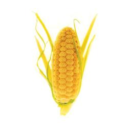 Product thumb gallery 964112366