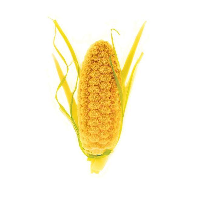 Product gallery 964112366