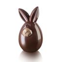 Lucky Bunny 2 Pieces Thermoformed Clear Choco Mold