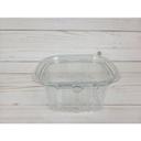 Clear Plastic Safety Lock Hinged Container
