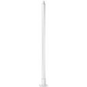 ALL266186 Stainless Steel Leg, 36 in Height