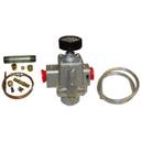 ANEK4400-00-C 1/2 in FPT Safety Valve with 1/4 in Pilot Out Only
