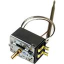 CAR18600-0017 Thermostat