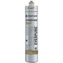 EVEEV961250 Hot Beverage Dispenser Water Filter Cartridge with Scale Inhibitor