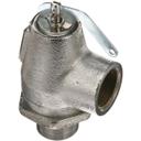 GAR076005-2 Steam Safety Pressure Relief Valve, 3/4 in Male x 3/4 in Female