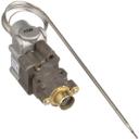 GAR1360200 BJWA Thermostat