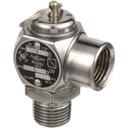GROZ097005 Steam Safety Valve