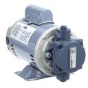 HEN67589 1/2 HP Filter Pump Motor Assembly